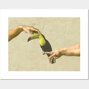 scritching a keel-billed toucan #full Posters and Art